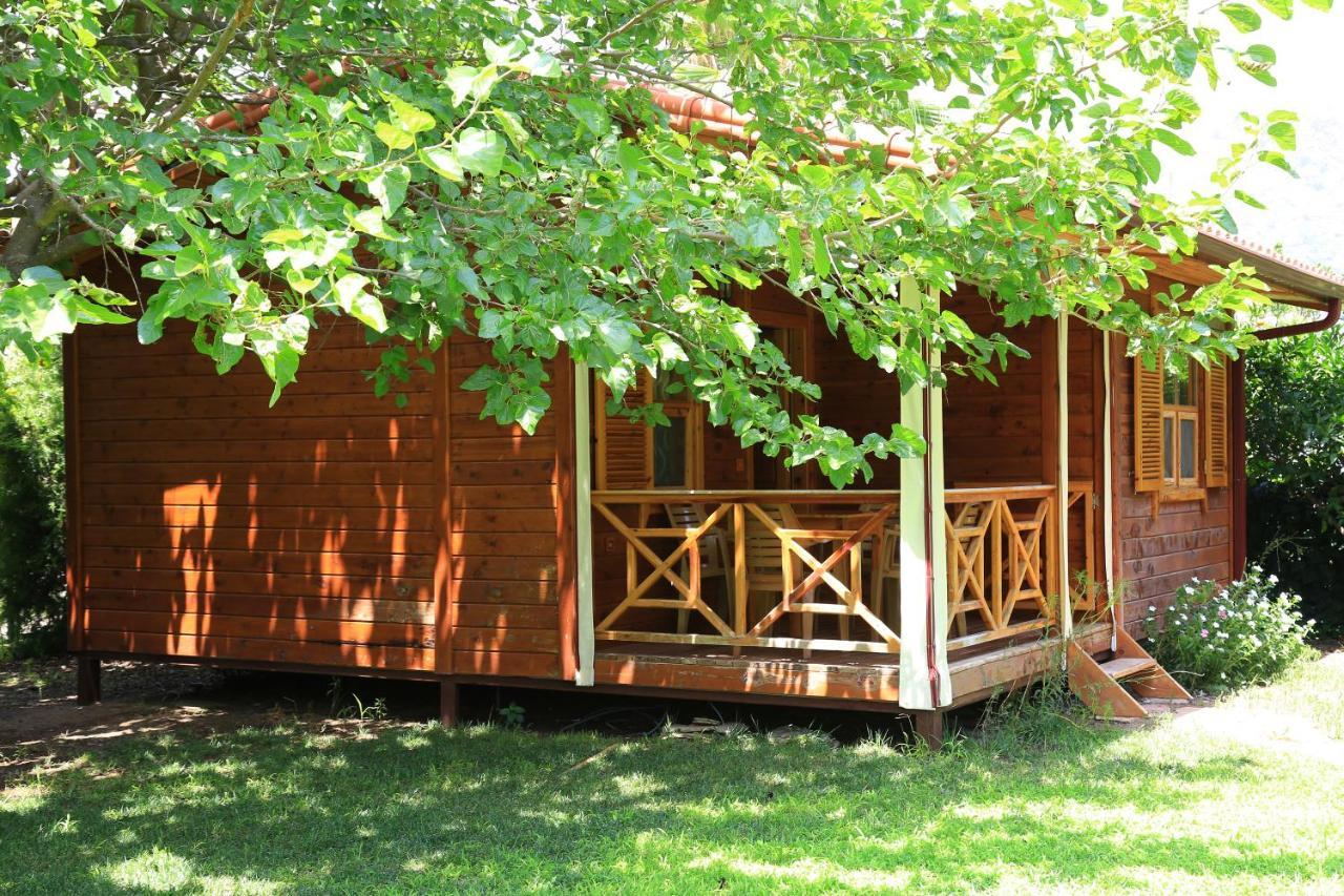 ÇıralıTunays Pansiyon住宿加早餐旅馆 客房 照片