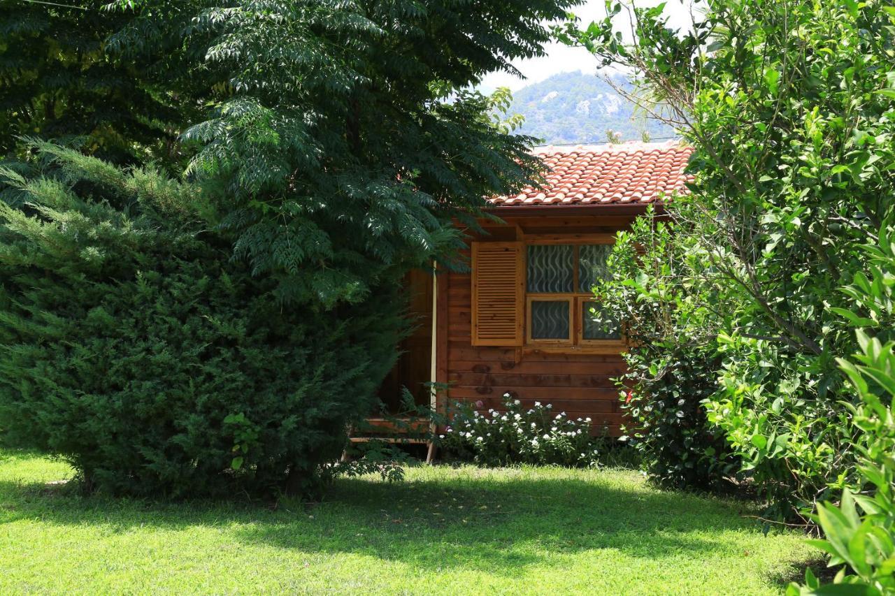 ÇıralıTunays Pansiyon住宿加早餐旅馆 客房 照片
