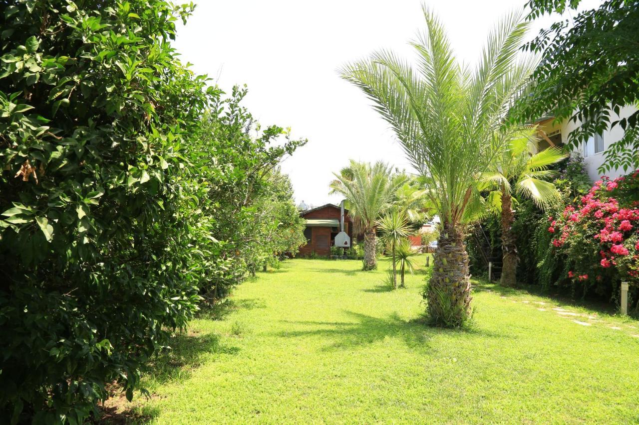 ÇıralıTunays Pansiyon住宿加早餐旅馆 客房 照片
