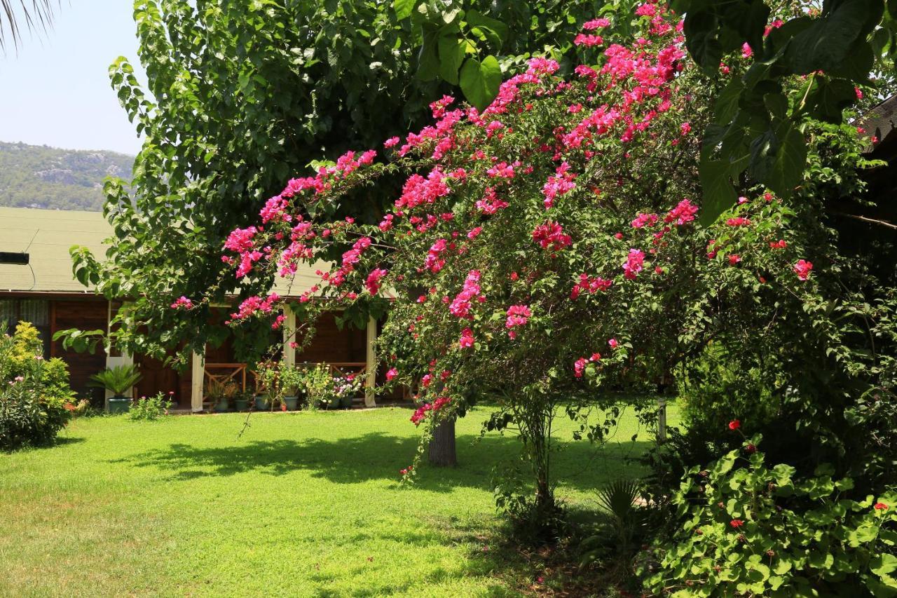 ÇıralıTunays Pansiyon住宿加早餐旅馆 外观 照片