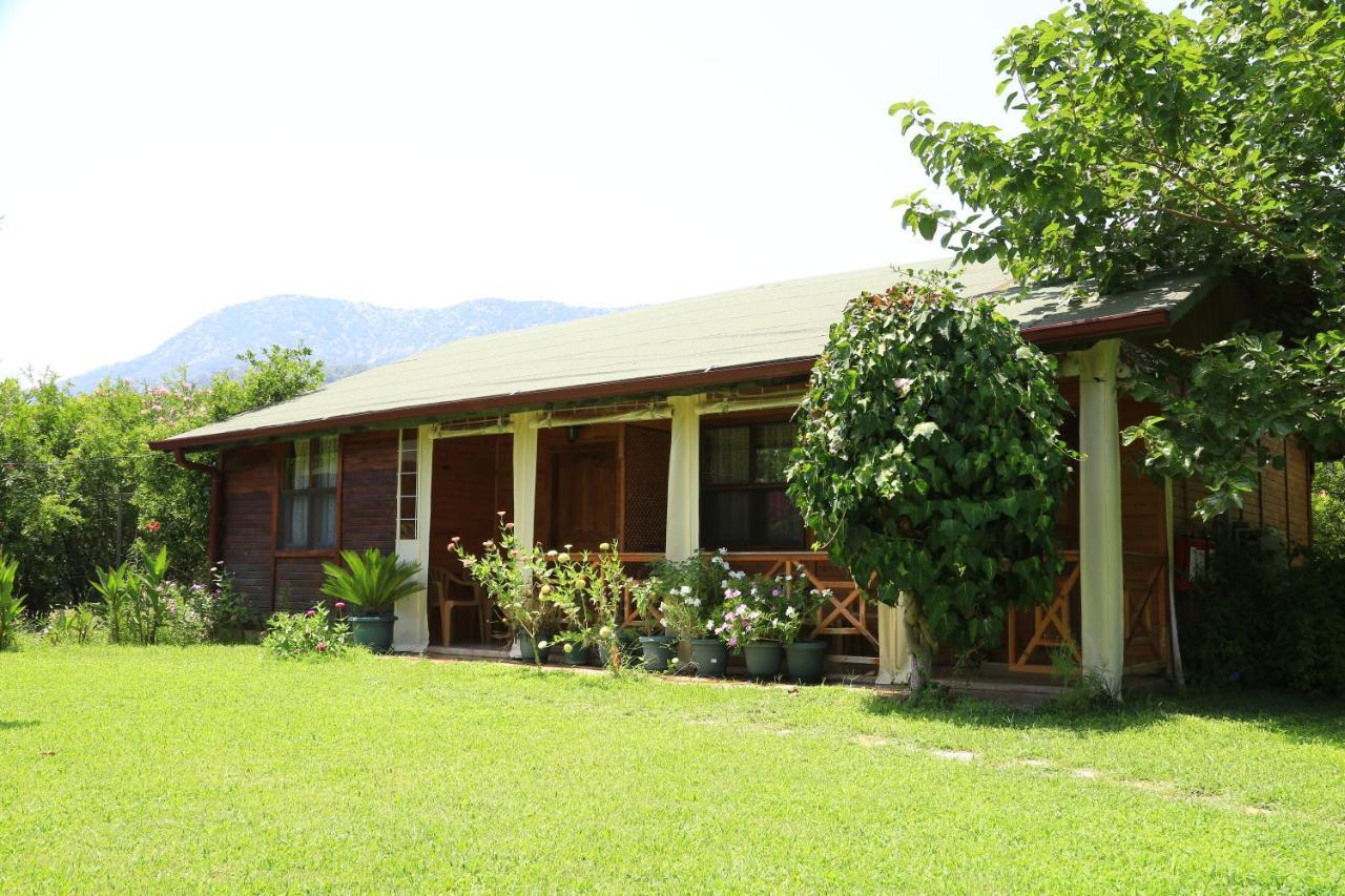 ÇıralıTunays Pansiyon住宿加早餐旅馆 客房 照片